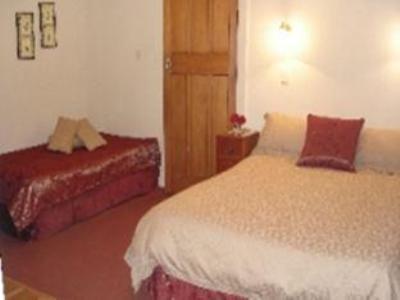 Homelea Bed And Breakfast Christchurch Exterior foto